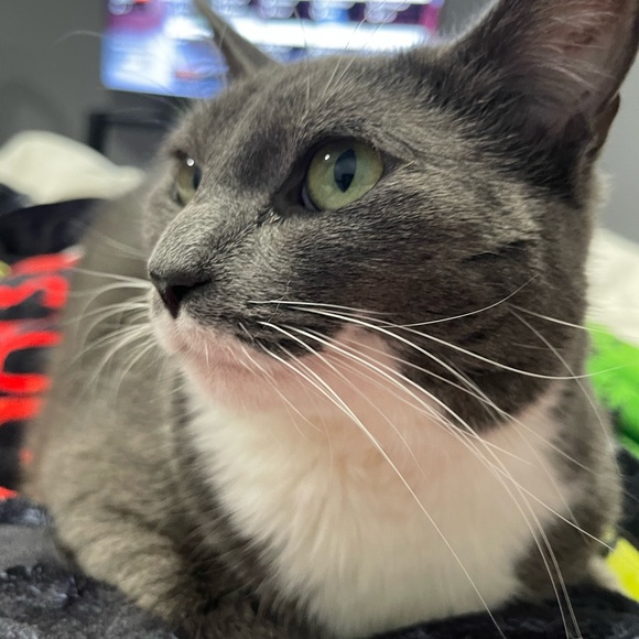 Meet your Posher, Stephen - Picture 1 of 1